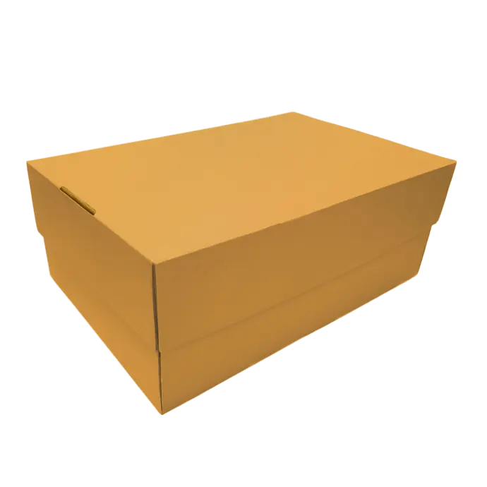 CAJA ZAPATO 30X20X12