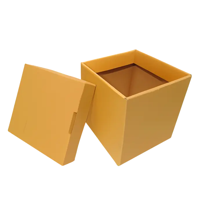 [C-20X20X20] CAJA CUBO 20X20X20
