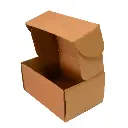 CAJA ENVIO 22X15X10