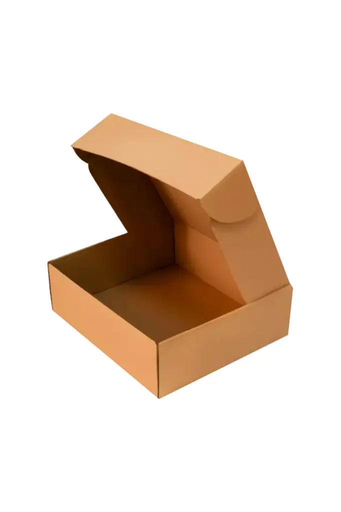 CAJA ENVIO 29X25X9