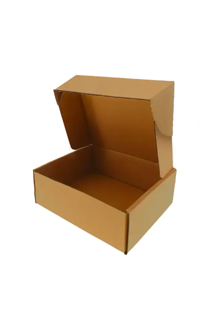 CAJA ENVIO 30X25X10