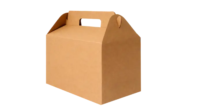 [L-25X15X15] CAJA LONCHERA 25X15X15