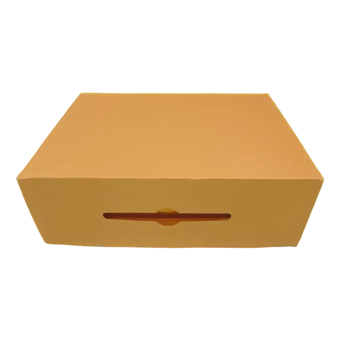 CAJA MALETA 28X22X10