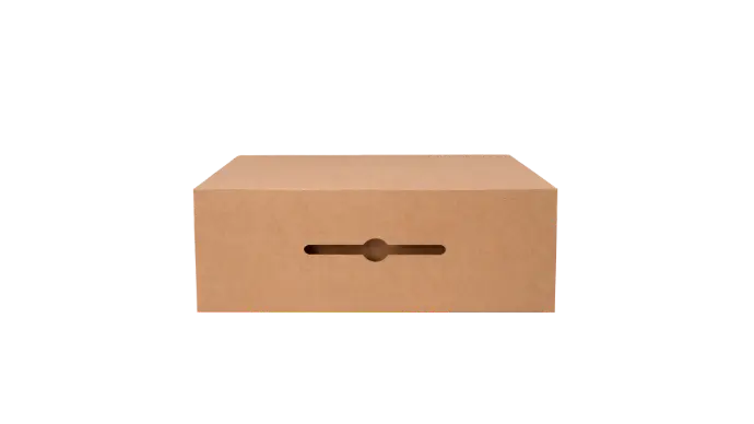 CAJA MALETA 33X26X12