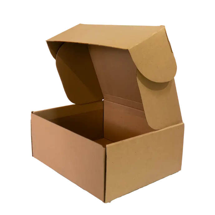[E-25X25X10] CAJA ENVIO 25X25X10