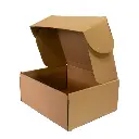 CAJA ENVIO 25X25X10