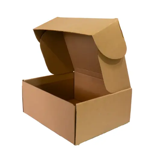 [E-25X20X10] CAJA ENVIO 25X20X10